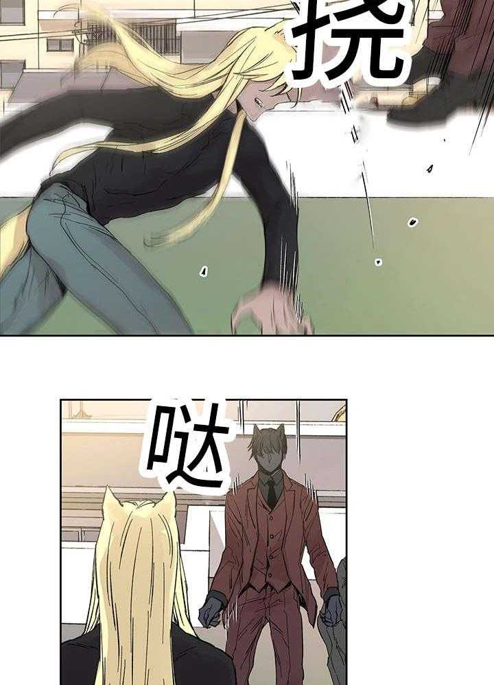 巫师与狼（全集）第20话图