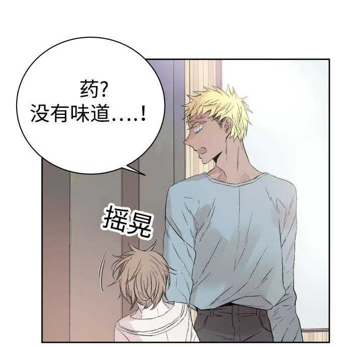 巫师与狼（全集）第33话图