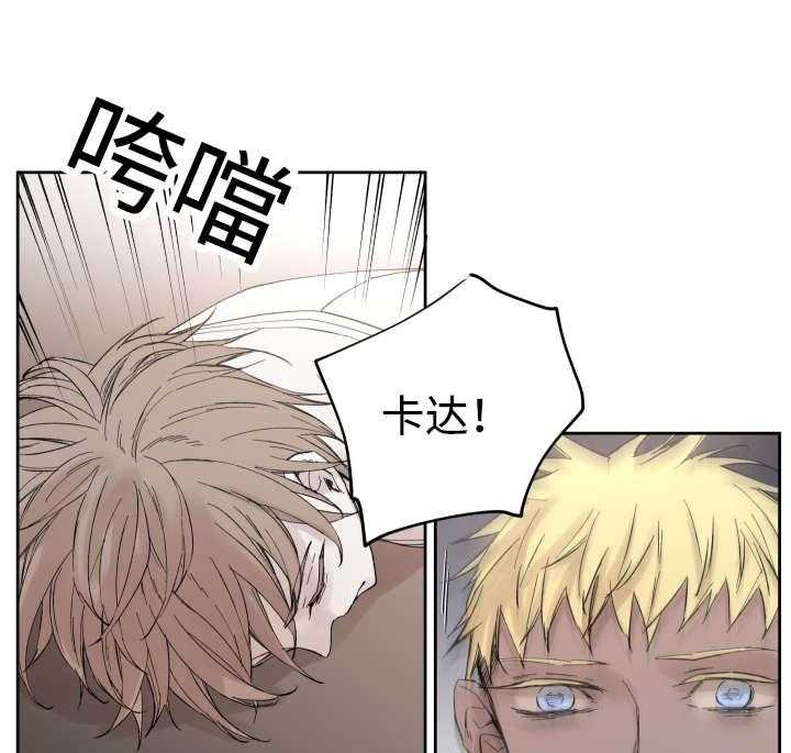 巫师与狼（全集）第33话图