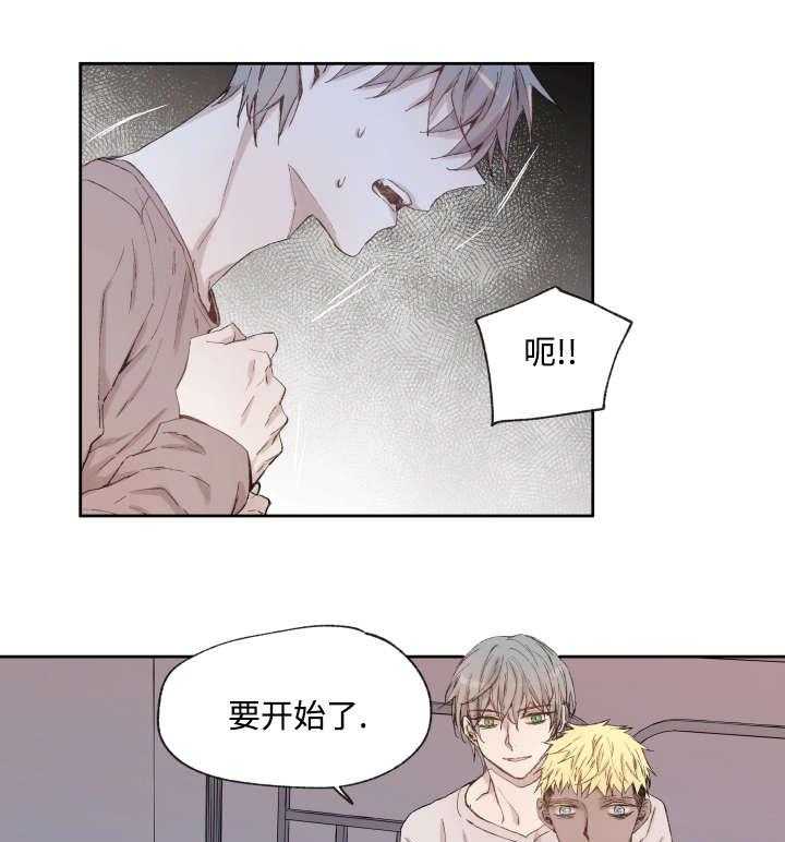 巫师与狼（全集）第36话图