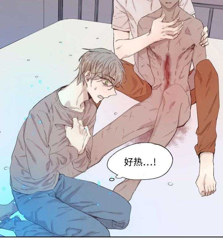 巫师与狼（全集）第36话图