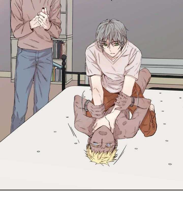 巫师与狼（全集）第36话图