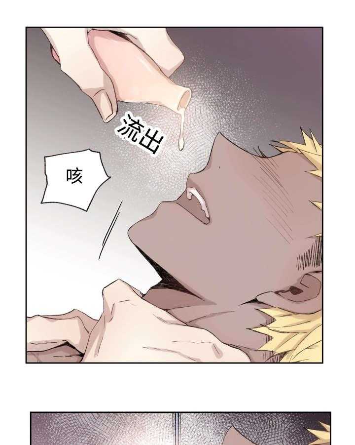 巫师与狼（全集）第36话图