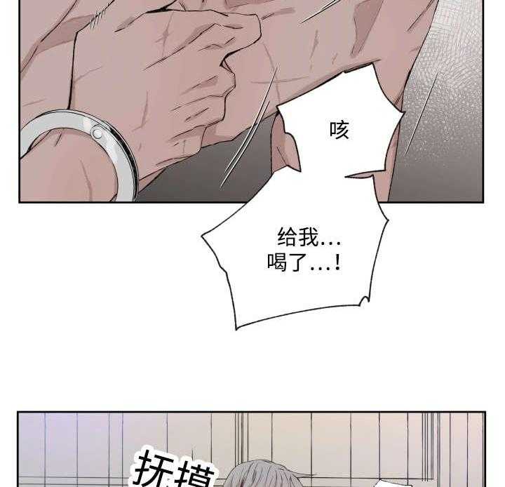 巫师与狼（全集）第36话图
