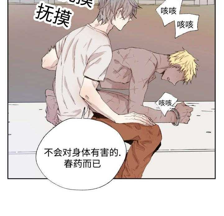 巫师与狼（全集）第36话图