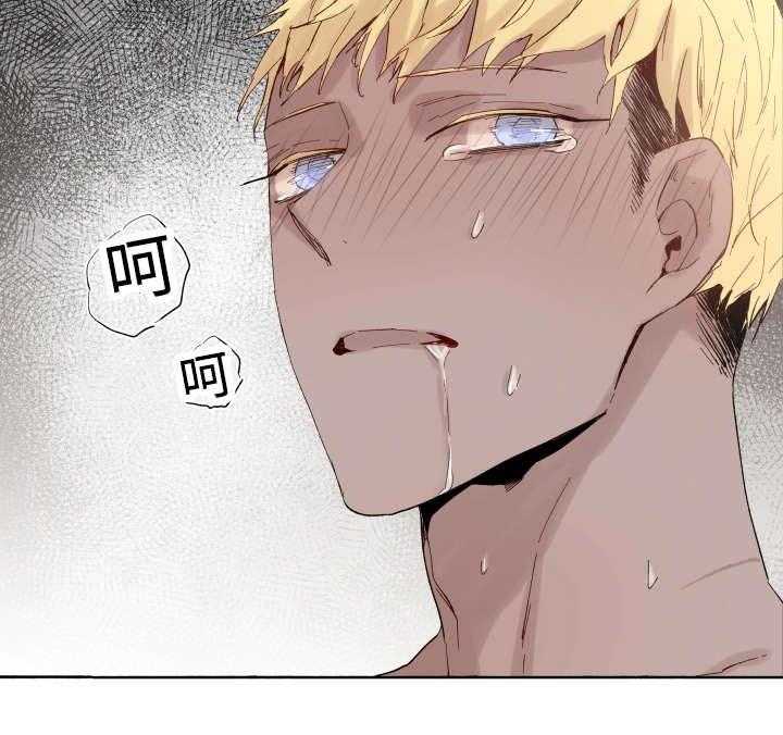 巫师与狼（全集）第38话图