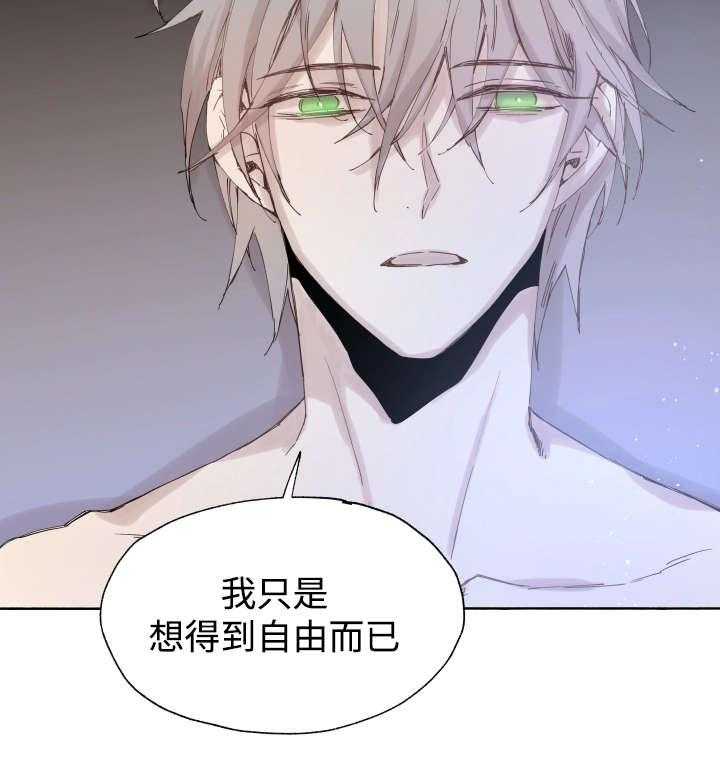 巫师与狼（全集）第41话图