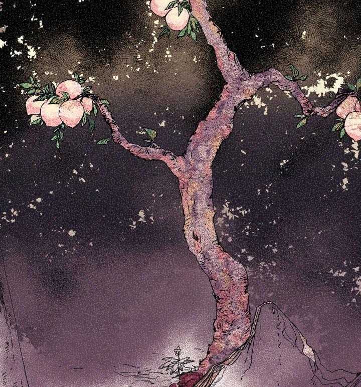 巫师与狼（全集）第44话图