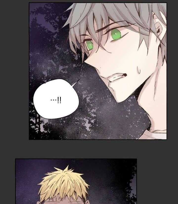 巫师与狼（全集）第46话图