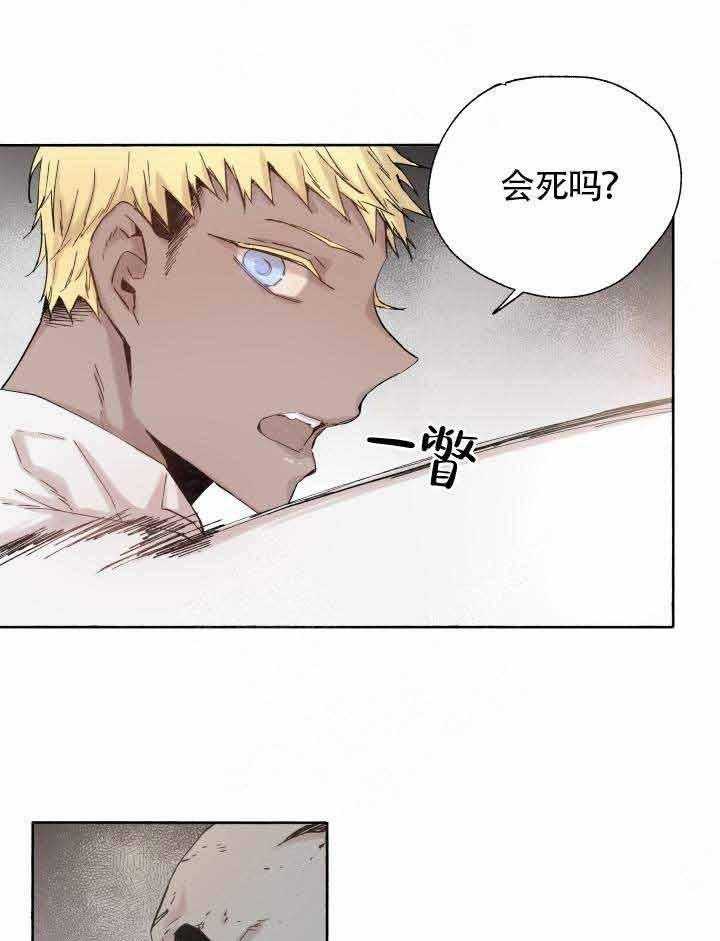 巫师与狼（全集）第48话图