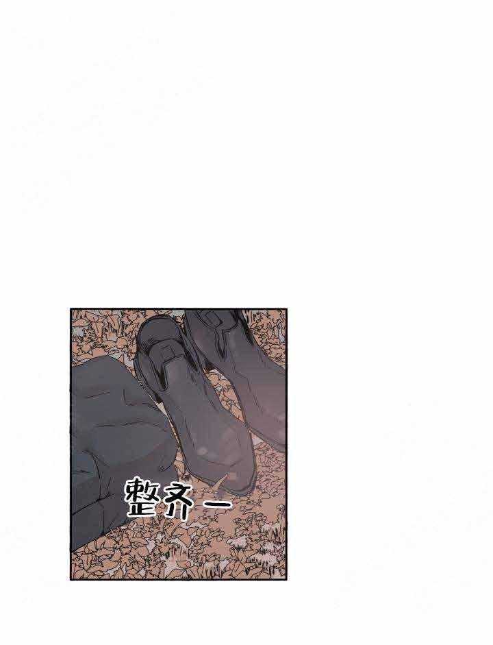 巫师与狼（全集）第49话图