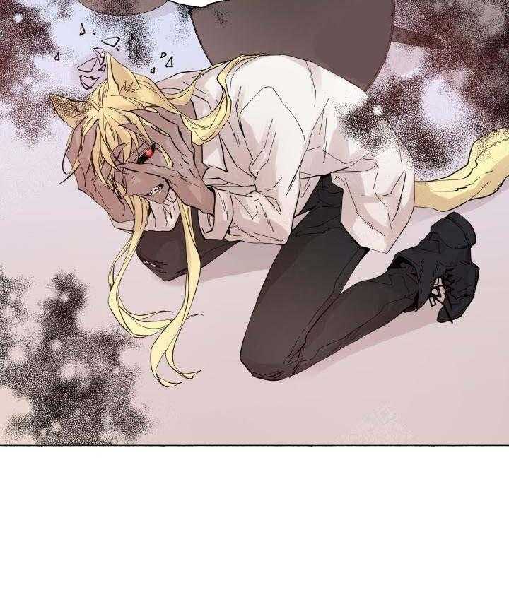 巫师与狼（全集）第60话图