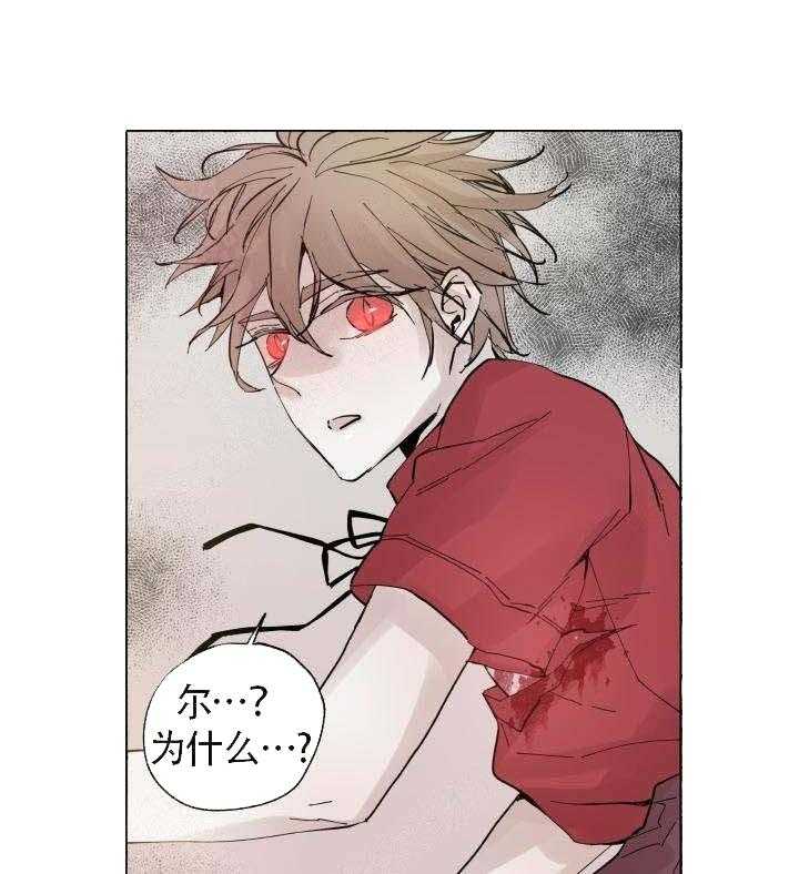 巫师与狼（全集）第60话图