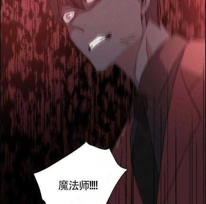 巫师与狼（全集）第64话图