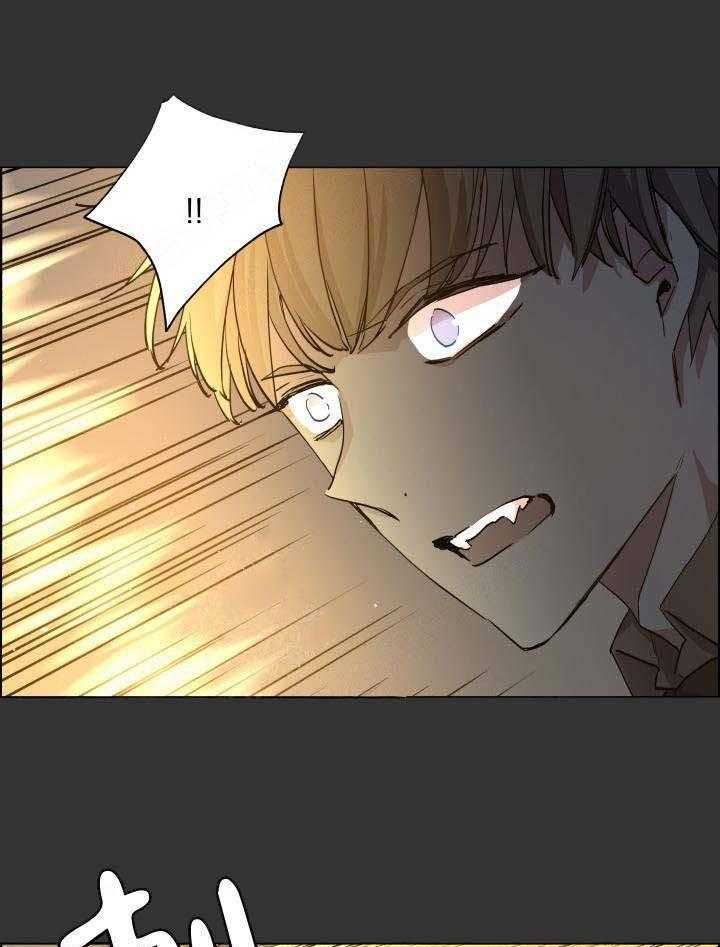 巫师与狼（全集）第70话图