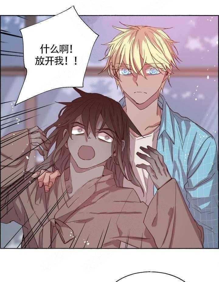 巫师与狼（全集）第75话图