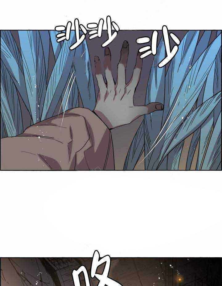 巫师与狼（全集）第78话图