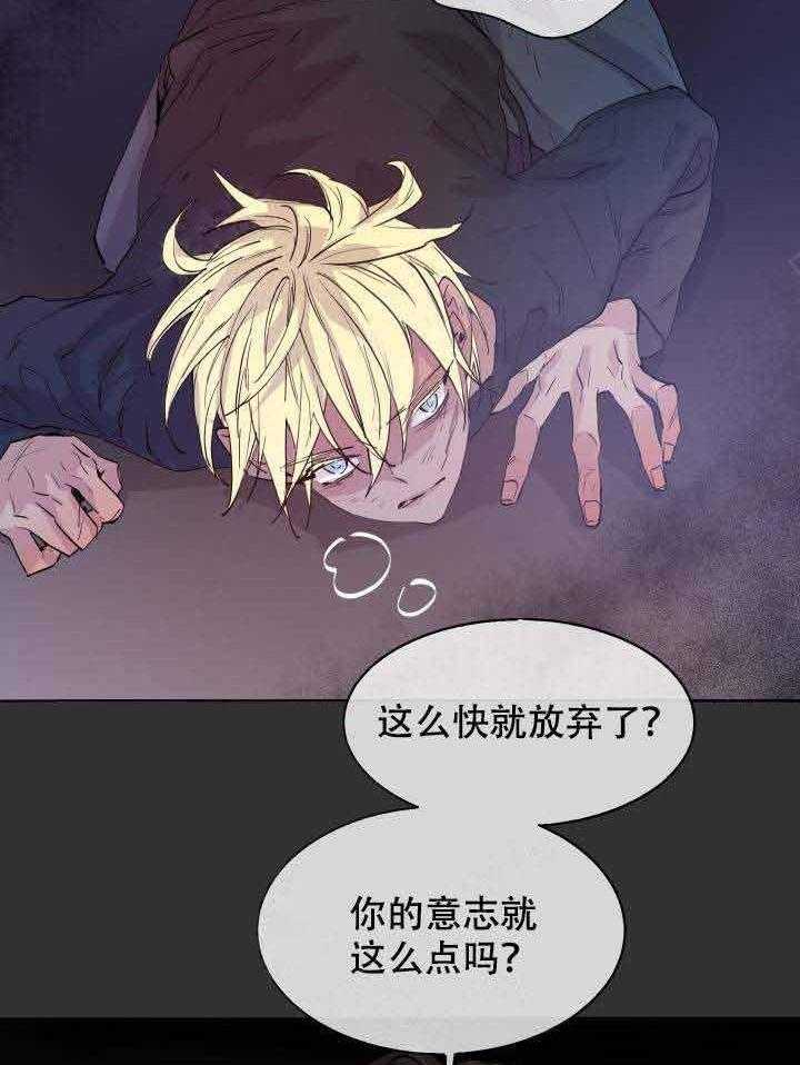 巫师与狼（全集）第87话图