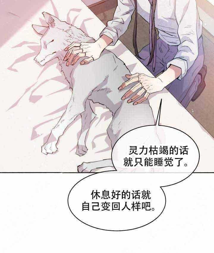 巫师与狼（全集）第93话图