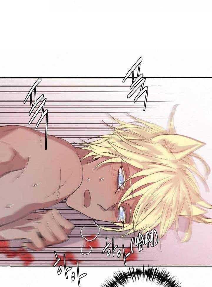 巫师与狼（全集）第95话图