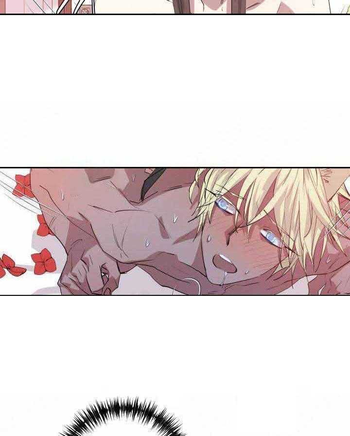 巫师与狼（全集）第95话图