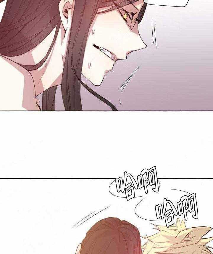 巫师与狼（全集）第95话图