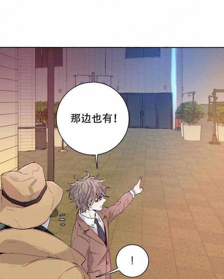 巫师与狼（全集）第98话图