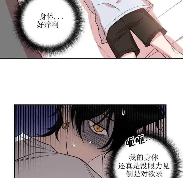 我同学的取向第39话图