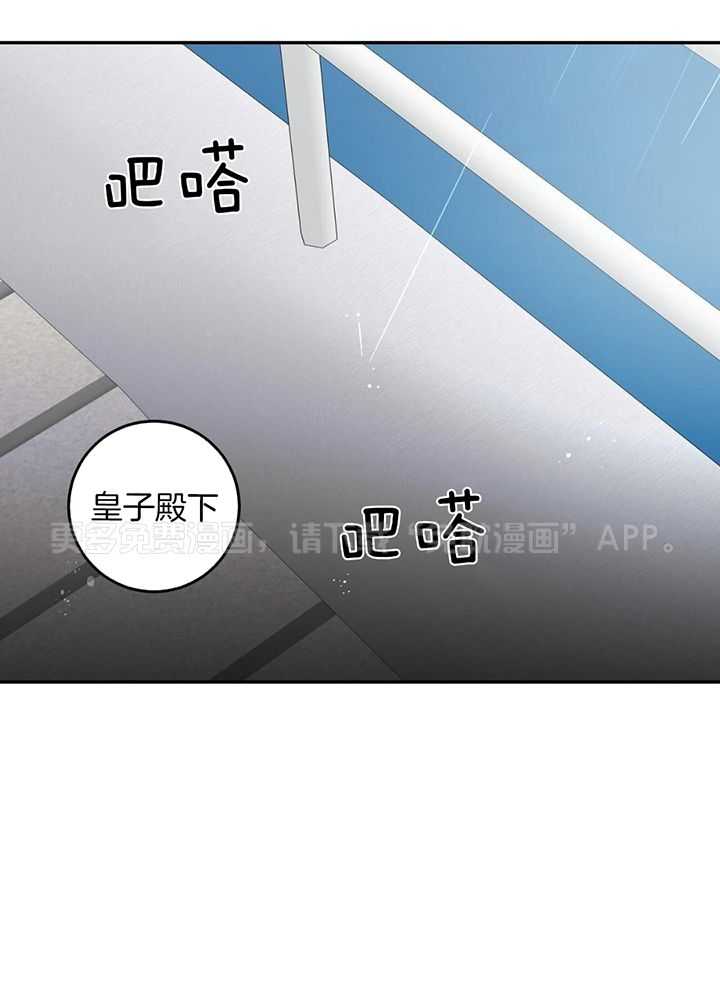 我的阿尔法主人第111话图