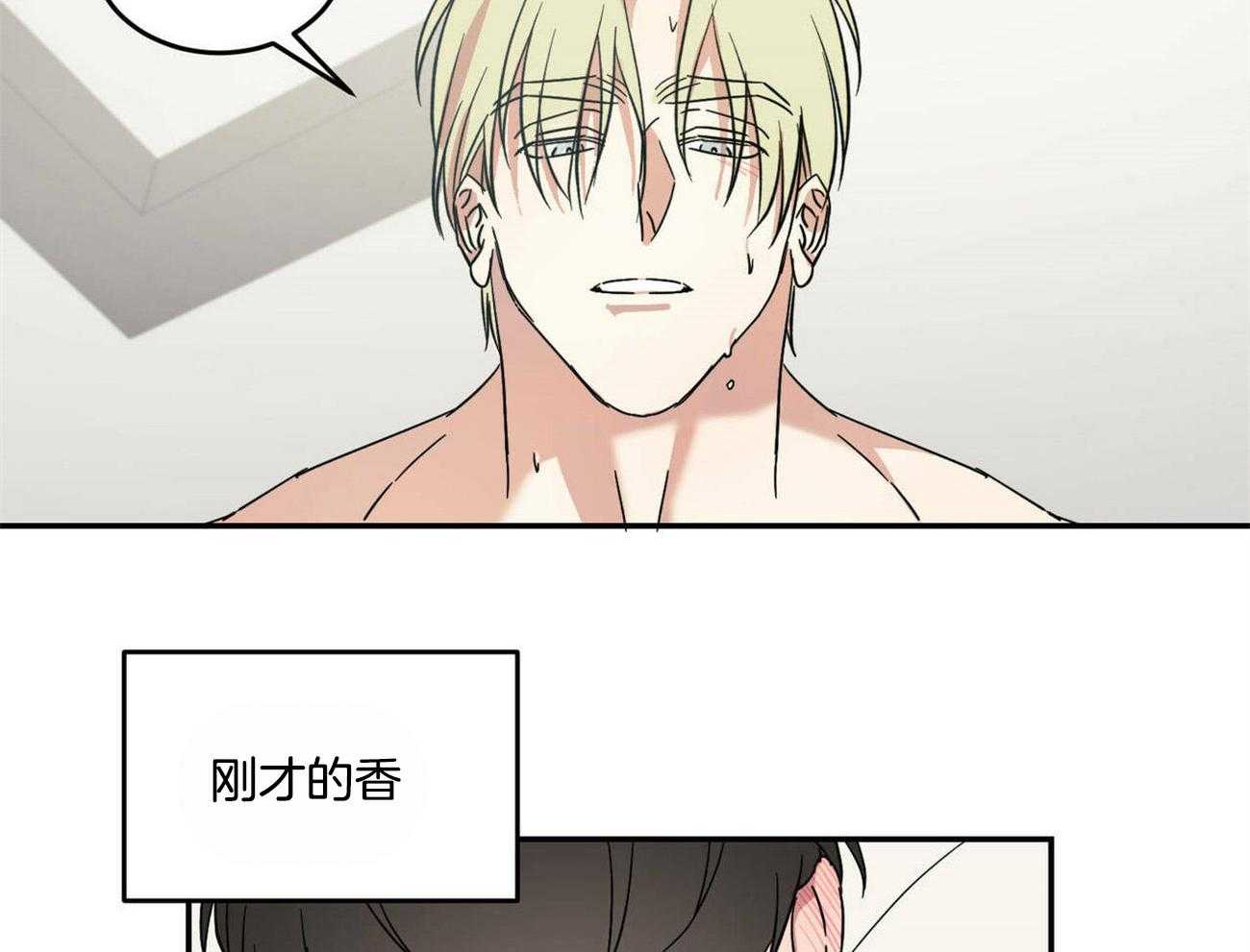我的阿尔法主人第20话图
