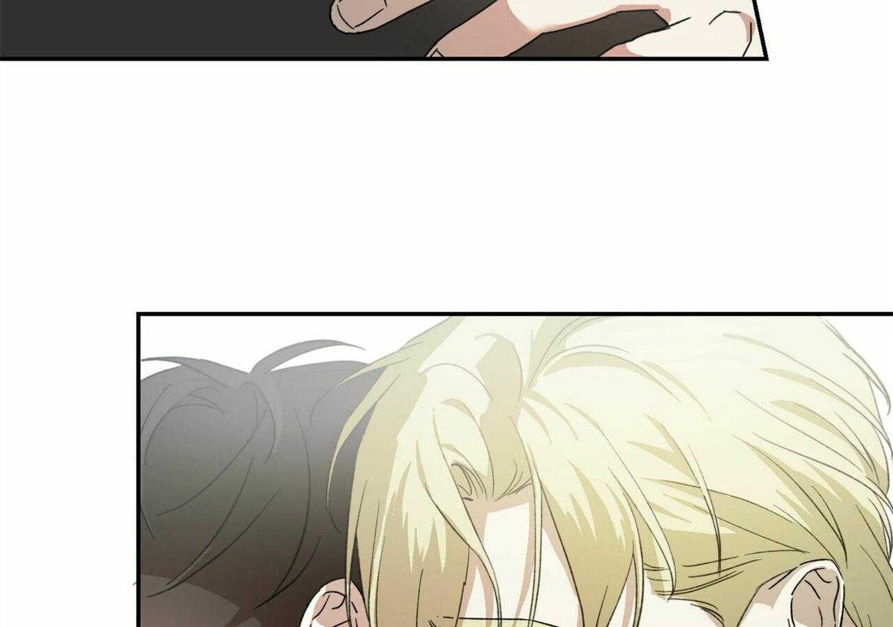 我的阿尔法主人第3话图