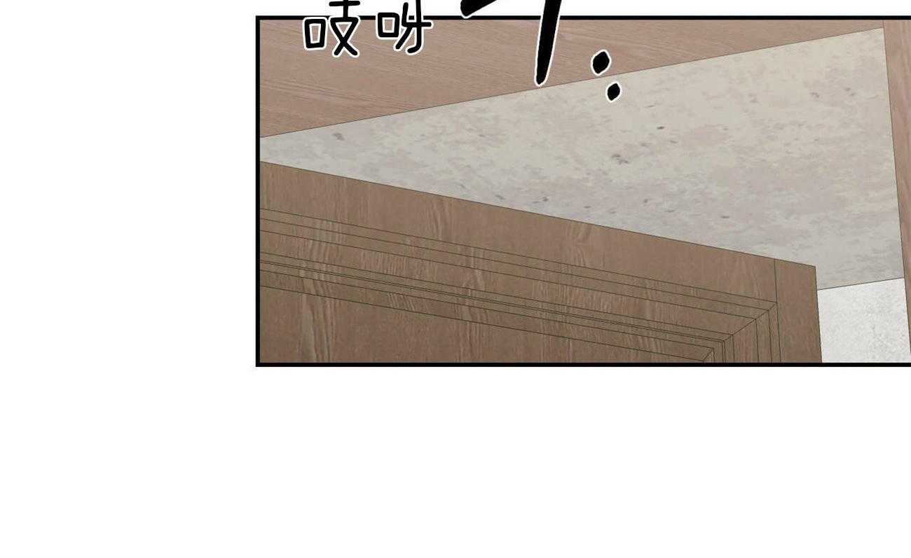 我的阿尔法主人第38话图