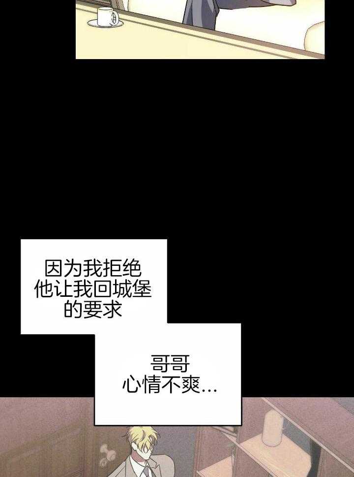 我的阿尔法主人第58话图