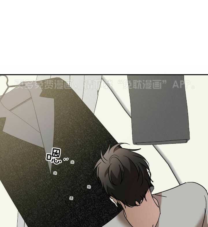 我的阿尔法主人第64话图