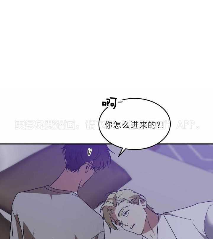 我的阿尔法主人第65话图