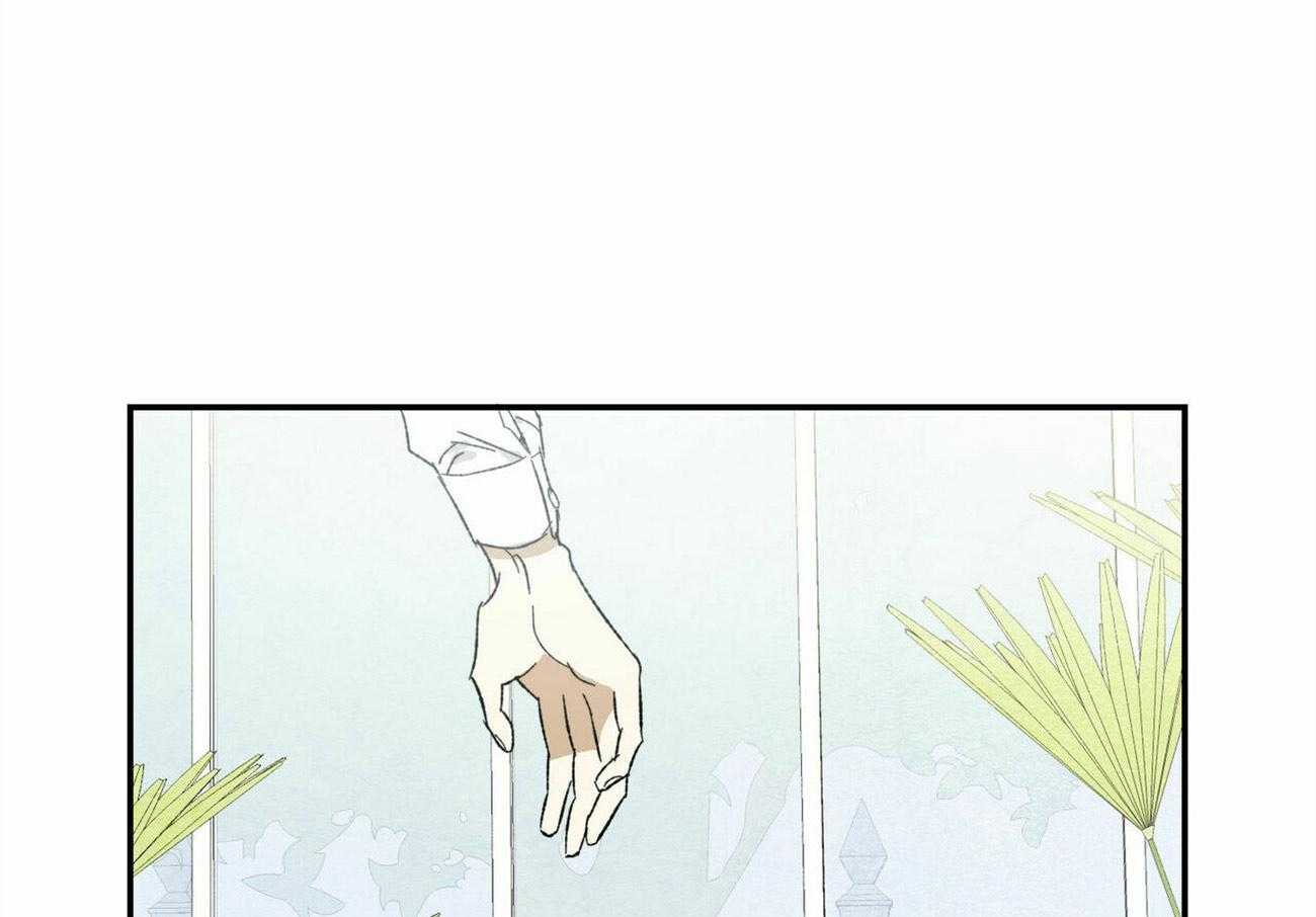 我的阿尔法主人第7话图