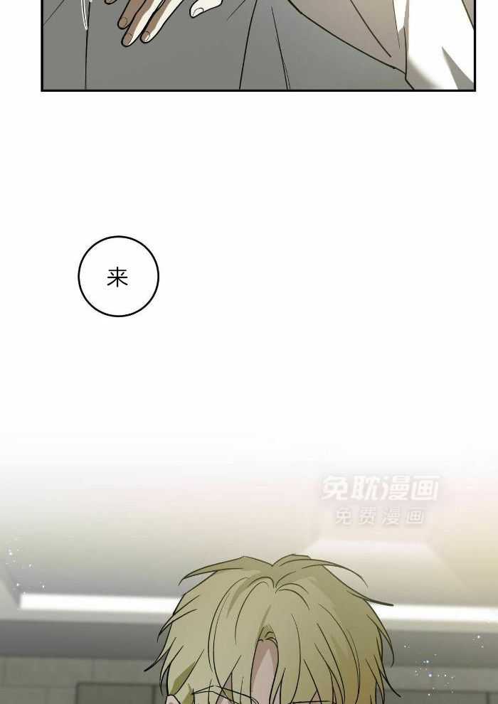 我的阿尔法主人第74话图