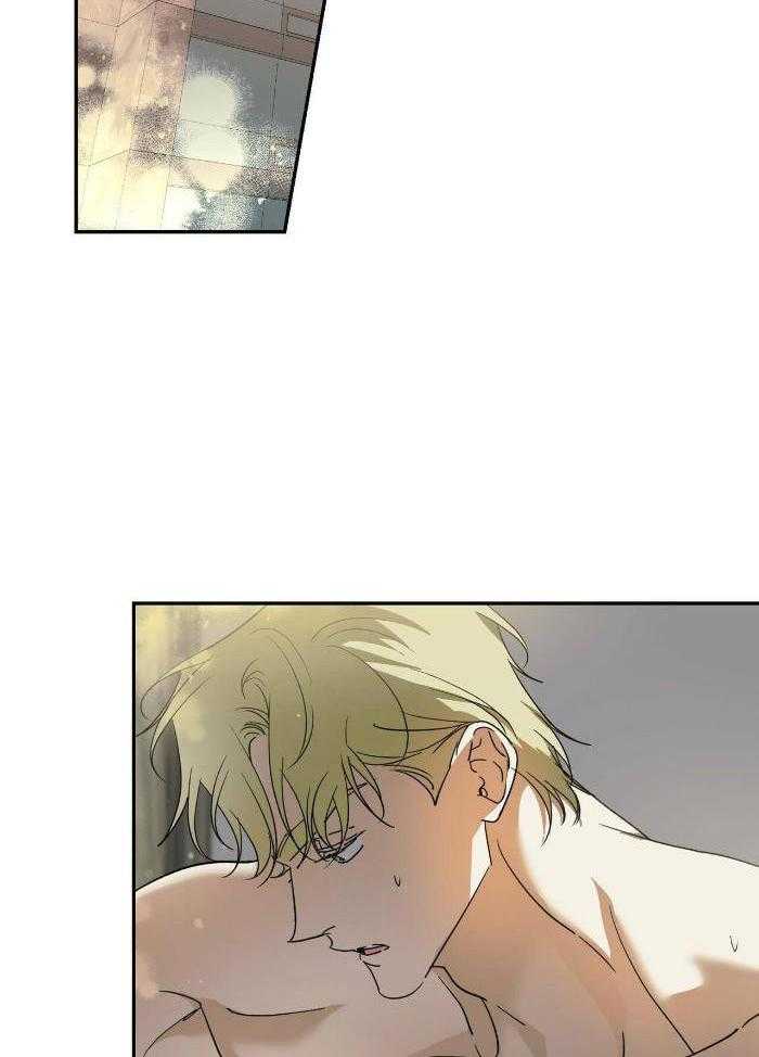 我的阿尔法主人第75话图