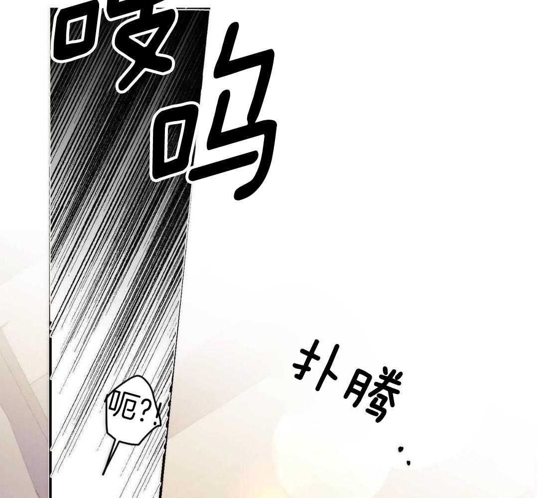 我的阿尔法主人第91话图