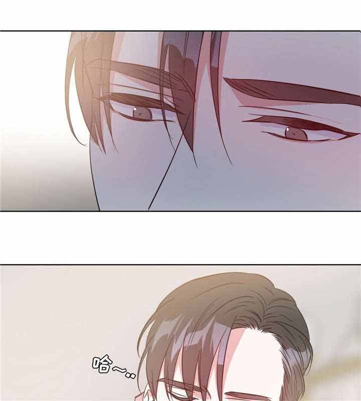 危险合作第29话图