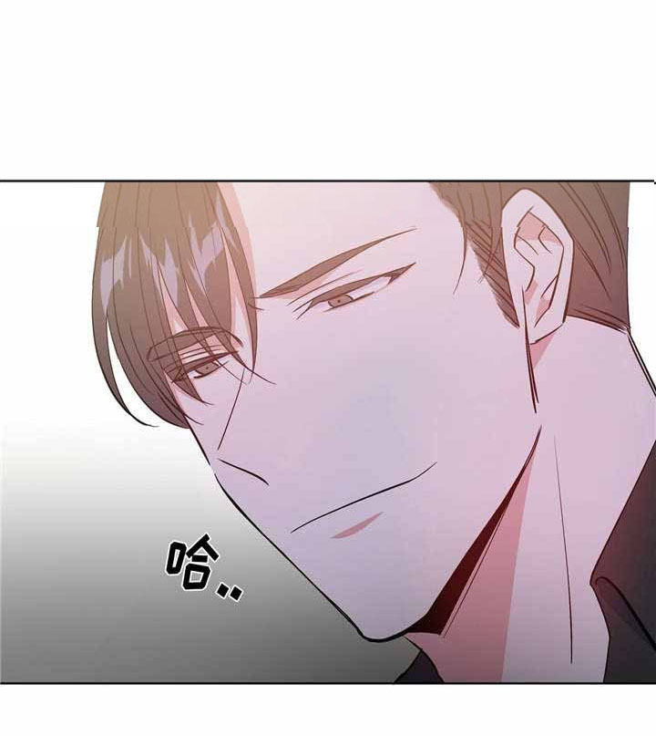 危险合作第39话图