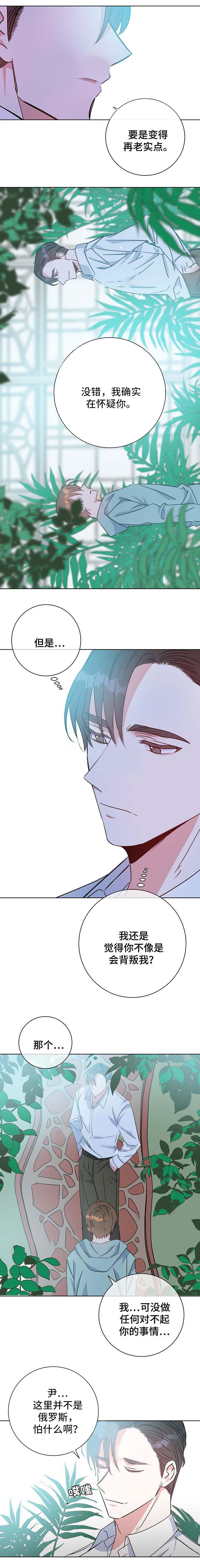 危险合作第54话图