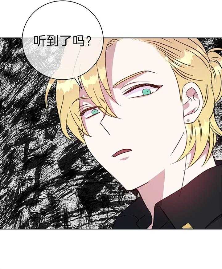 危险合作第67话图