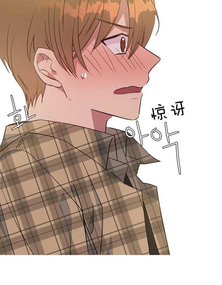 危险合作第73话图