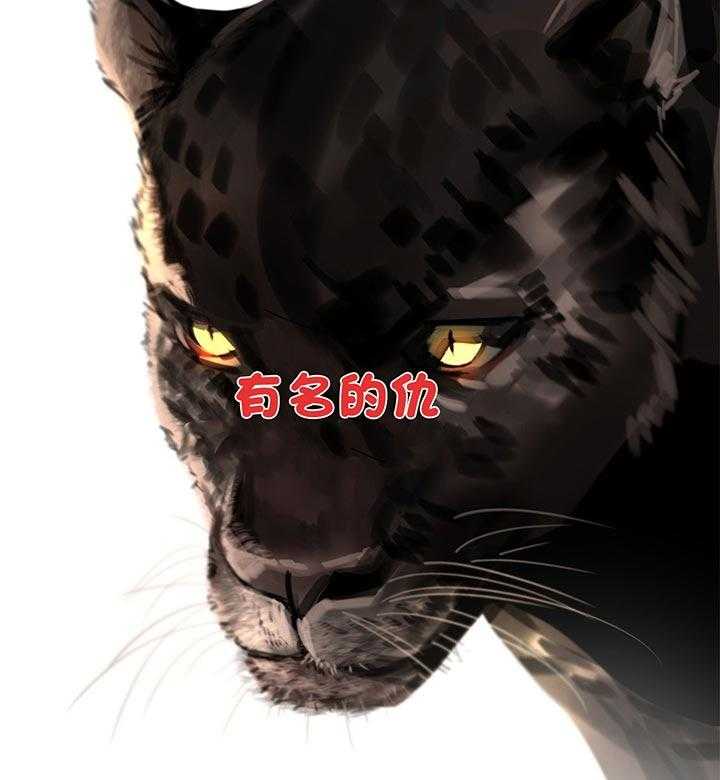 危险合作第75话图