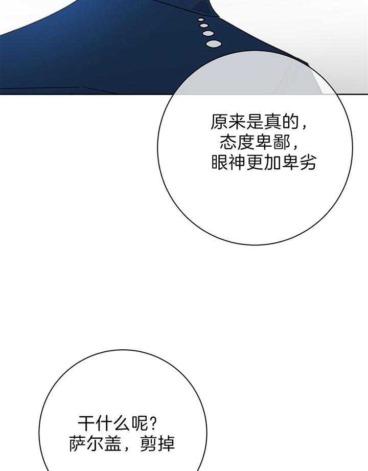 危险合作第77话图