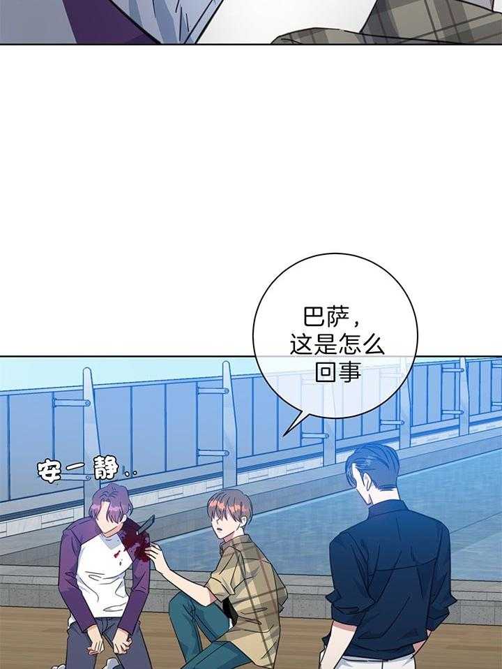 危险合作第78话图