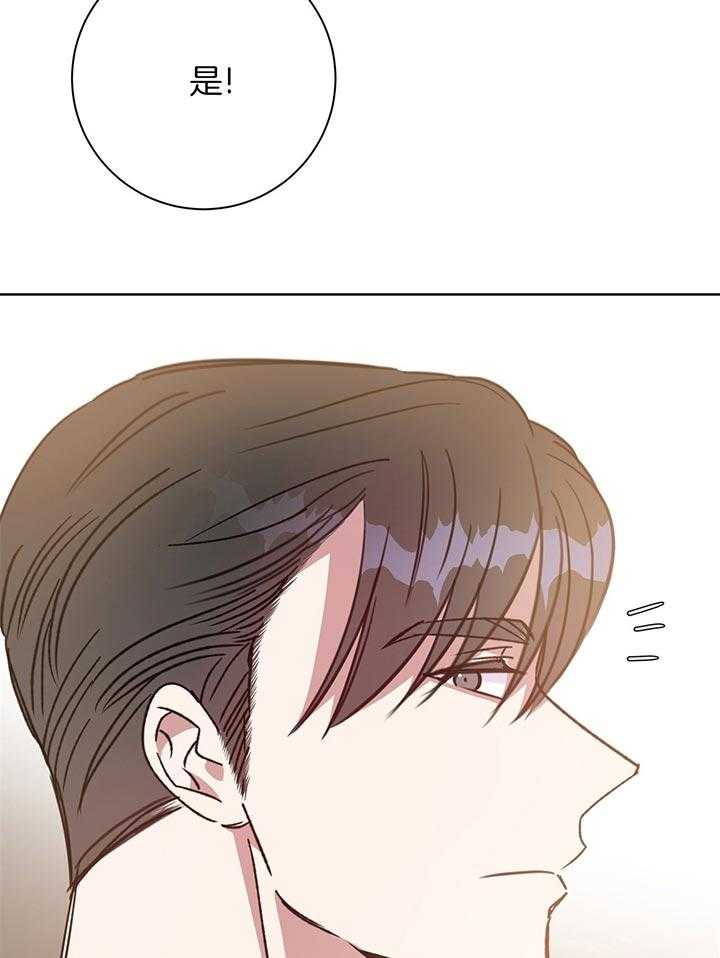 危险合作第79话图