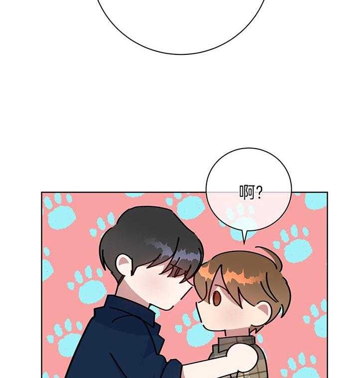 危险合作第79话图