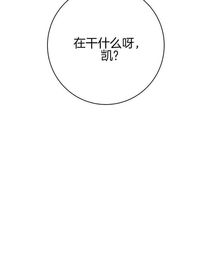 危险合作第87话图